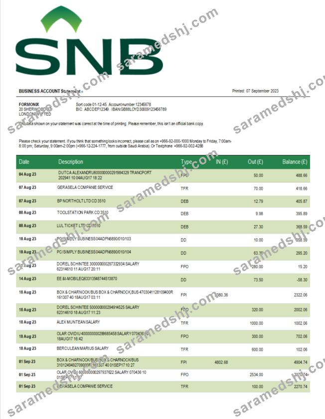 SNB Bank enterprise statement Word and PDF template